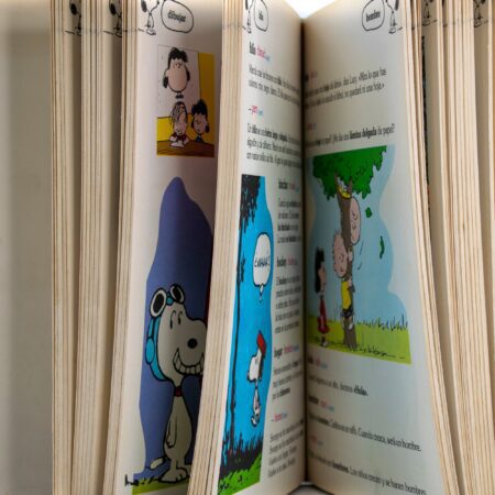 Gran Diccionario de Carlitos (Charlie Brown) - Imagen 4