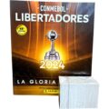 Álbum Panini CONMEBOL Libertadores 2024 Original - Imagen 6