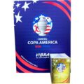 Álbum Completo Copa América USA 2024 Panini Original - Imagen 7