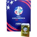 Álbum Completo Copa América USA 2024 Panini Original - Imagen 8